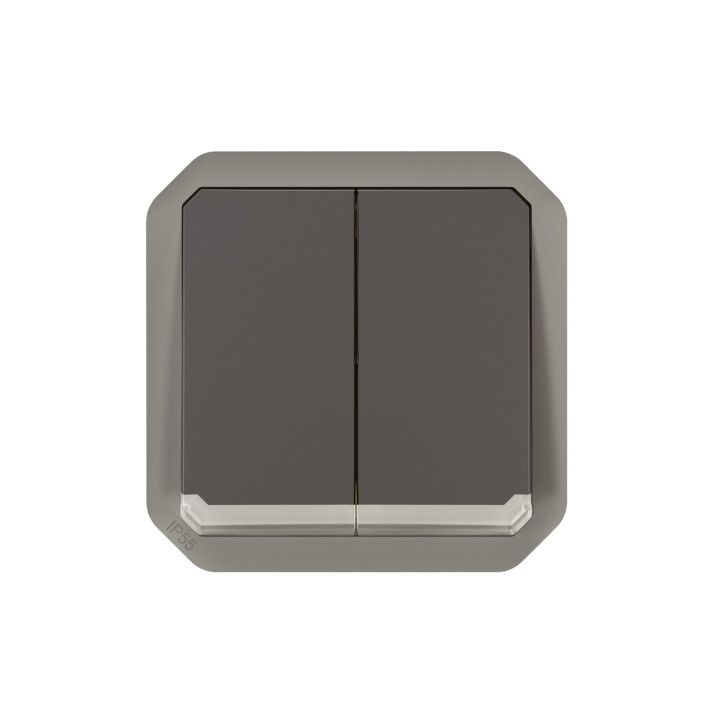 Commande Double Interrupteur Ou Poussoir Lumineux Plexo Composable Anthracite