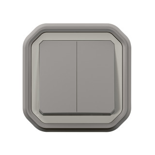 Commande double interrupteur ou poussoir Plexo complet encastré gris