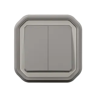 Commande Double Interrupteur Ou Poussoir Plexo Complet Encastré Gris