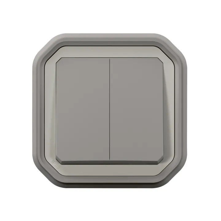 Commande Double Interrupteur Ou Poussoir Plexo Complet Encastré Gris