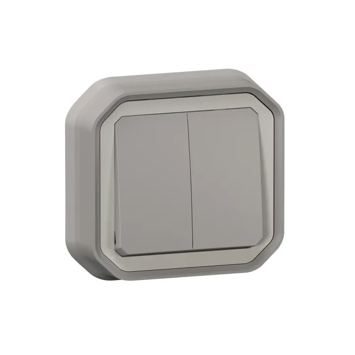 Commande Double Interrupteur Ou Poussoir Plexo Complet Encastré Gris