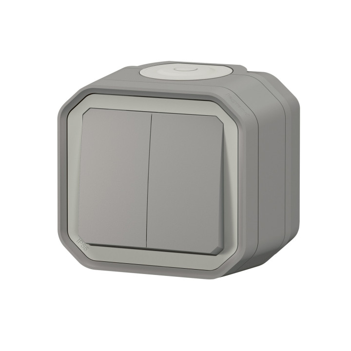 Double Interrupteur / Va-Et-Vient Ou Poussoir Plexo Complet Saillie - Gris