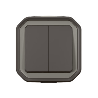 Commande double interrupteur ou poussoir Plexo complet saillie anthracite