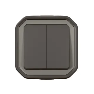 Commande Double Interrupteur Ou Poussoir Plexo Complet Saillie Anthracite