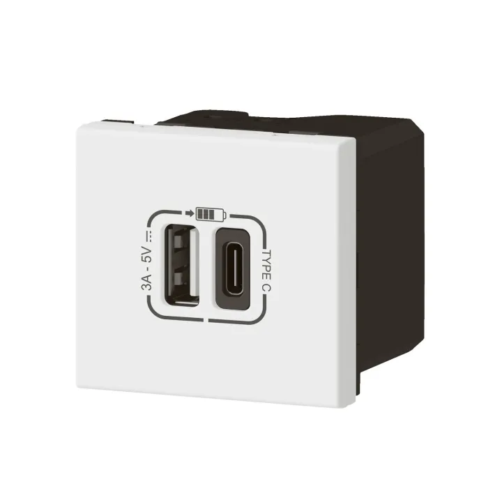 Prise Usb Type-A + Usb Type-C 3A 15W Mosaic Link 230V - 2 Modules Blanc