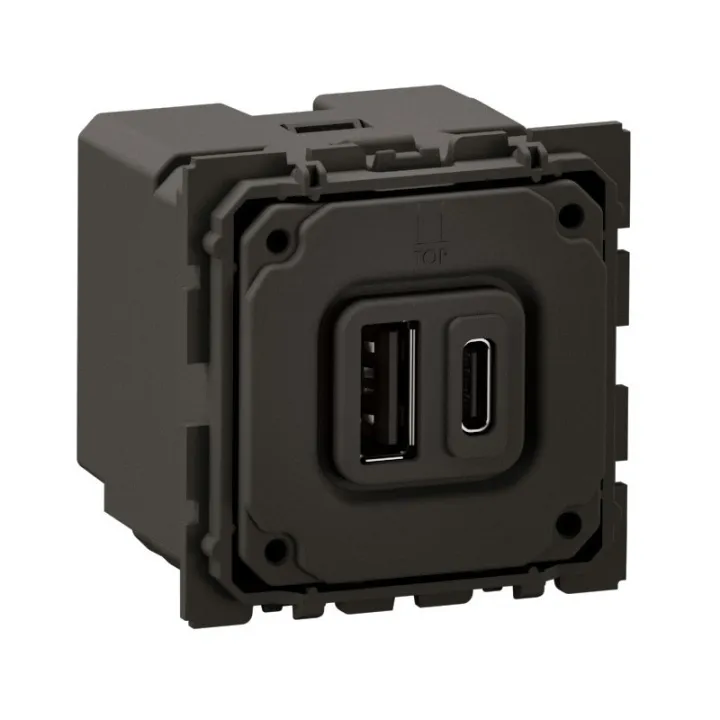 Prise 2Usb Céliane Type-A + Type-C 15W - Bornes À Vis