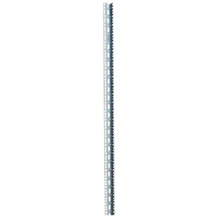Jeu De 2 Montants 19Pouces 42U Pour Armoire Altis Largeur 600Mm Ou 800Mm