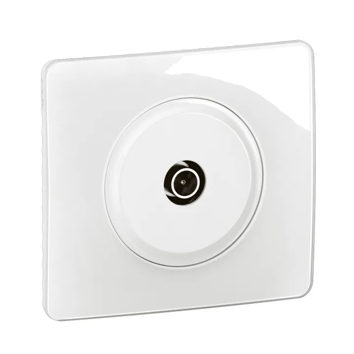 Prise Télévision Simple Mâle Céliane - Étoile Blindée