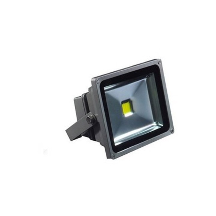 PROJECTEUR HALOGENE A LED 10 W(*)