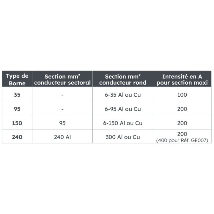 Spcm 200A Avec 2 Dérivations Latérales 6-35 - 6902651