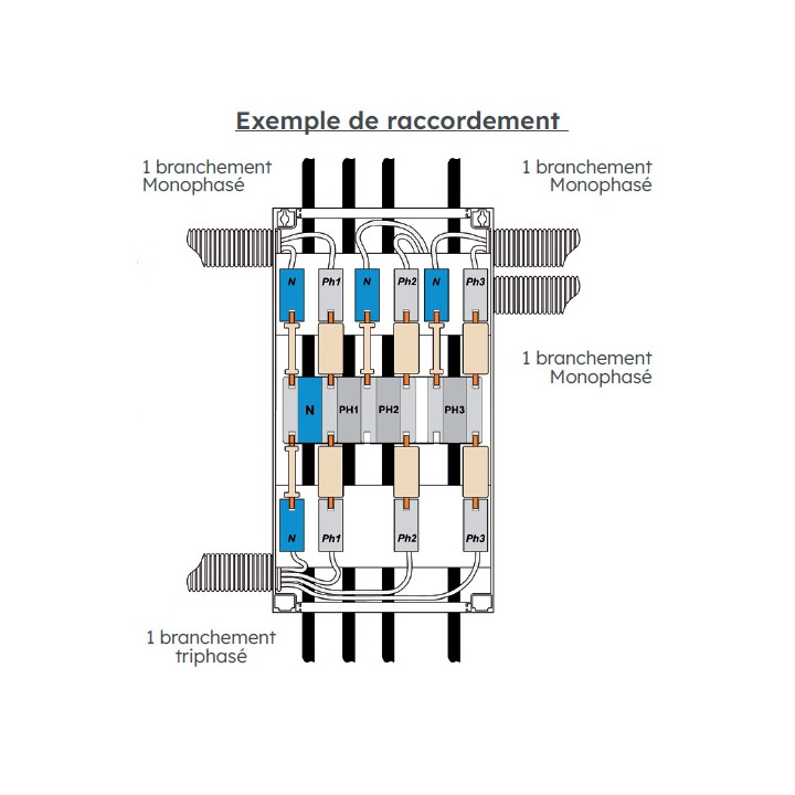 Distributeur De Niveau 200A 6 Départs Cpf - 6902428