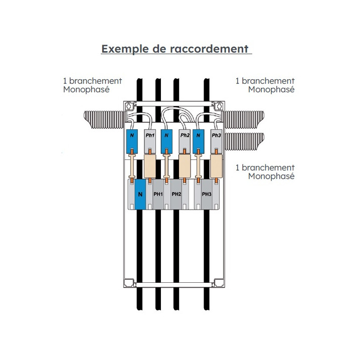 Ensemble De Cpf 60A Universel 1 Branchement Tri - 6940525