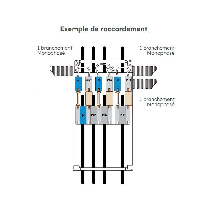Ensemble De Cpf 60A Universel 1 Branchement Tri - 6940525