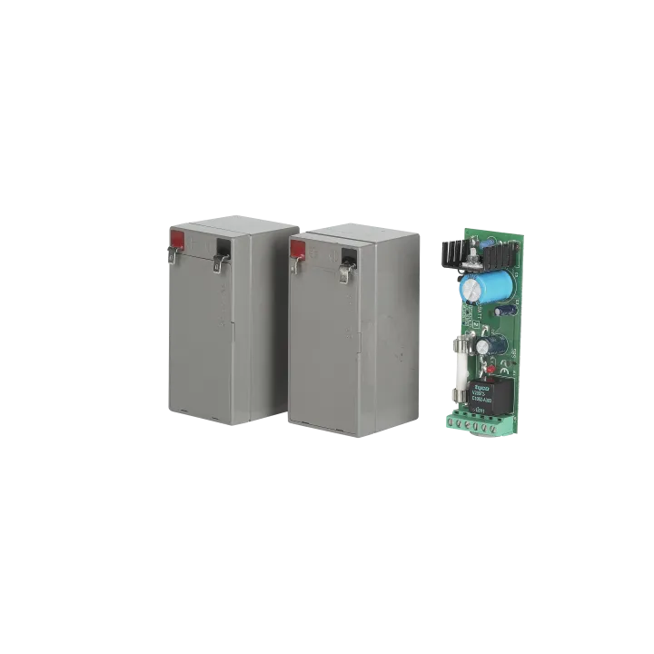 Kit Batteries Et Chargeur Bbt Bat Pour Zara/Thalia L/Thalia P