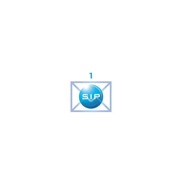 1 extension SIP supplémentaire ( uniquement avec 7 packs ci-dessus)