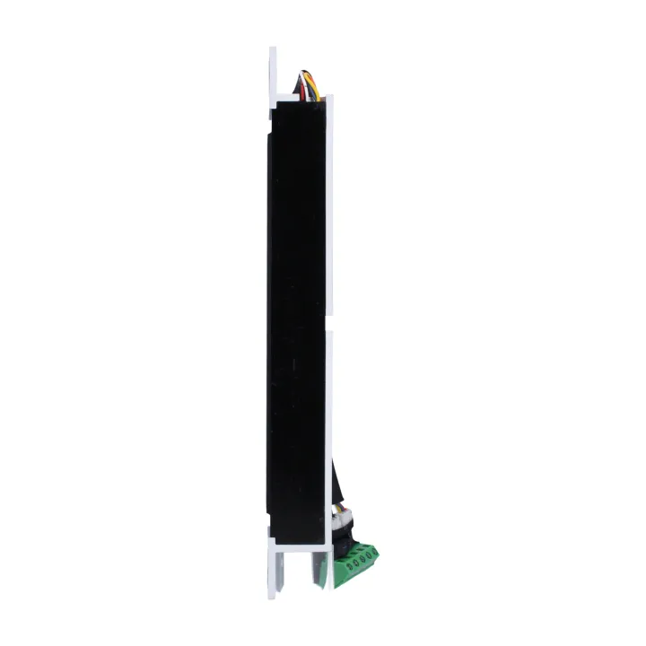 Ventouse 300Kg Encastrée - Signal Nonf - 12/24V Dc - Nfs 61-937
