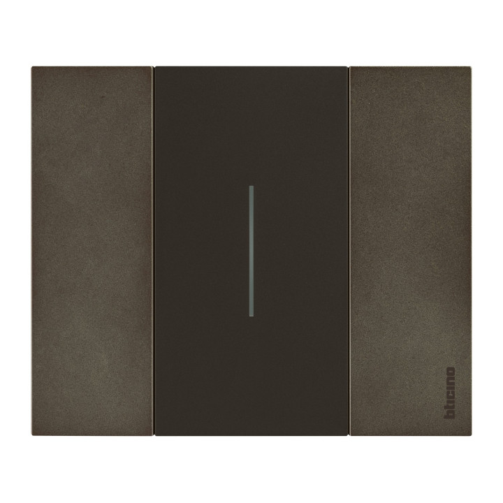 Enjoliveur Living Now Pour Commande D'Éclairage 2 Modules - Noir