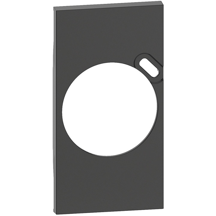 Plastron De Finition Living Now Pour Prise Surface Avec Prise Type-C - Noir