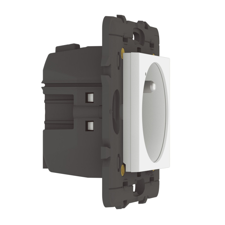 Prise Connectée Mosaic With Netatmo 16A Sans Plaque Blanc