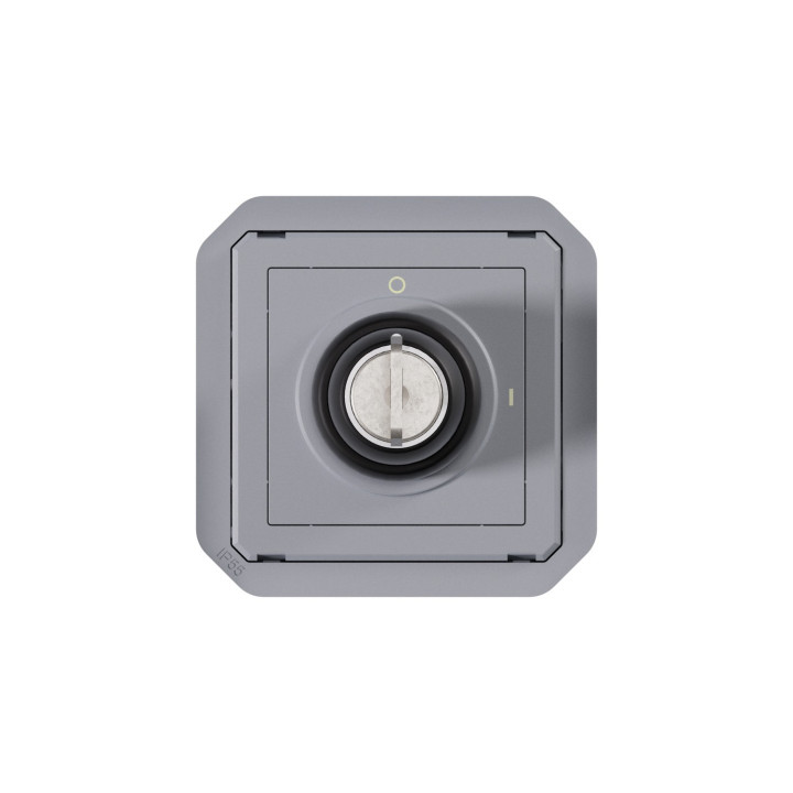 Interrupteur À Badge Ronis 2 Positions Plexo Composable Gris