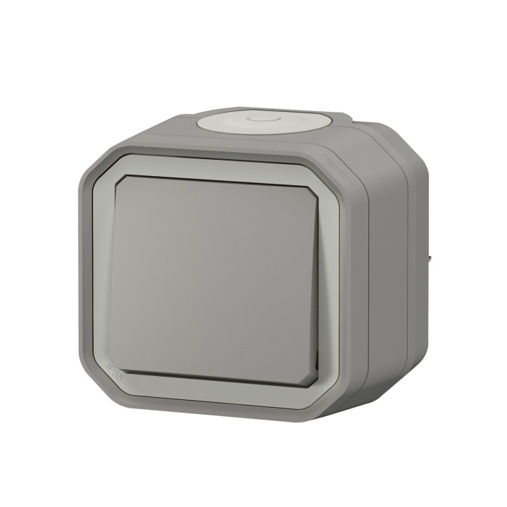Interrupteur Ou Va-Et-Vient Plexo Complet Saillie - Gris Brochable