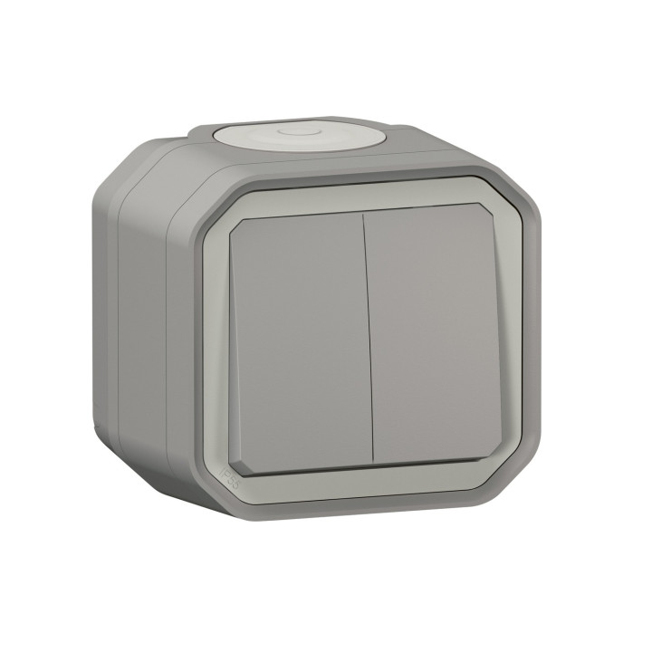 Commande Double Interrupteur Ou Poussoir Plexo Complet Saillie Gris