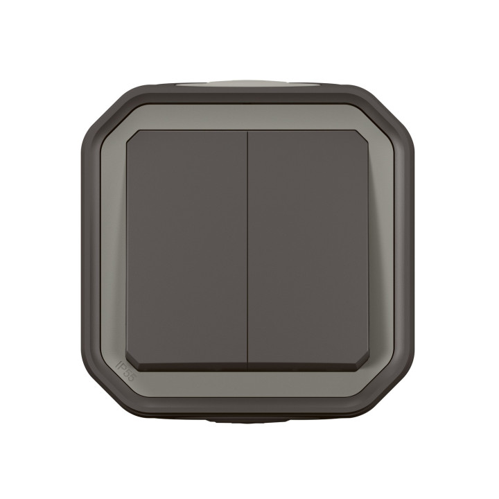 Commande double interrupteur ou poussoir Plexo complet saillie anthracite