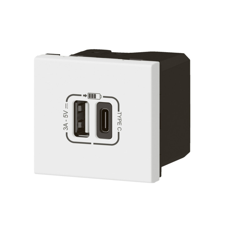 Prise Usb Type-A + Usb Type-C 3A 15W Mosaic Link 230V - 2 Modules Blanc