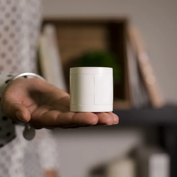 Détecteur Mouvement Intérieur Pour Alarme Connectée Somfy Protect