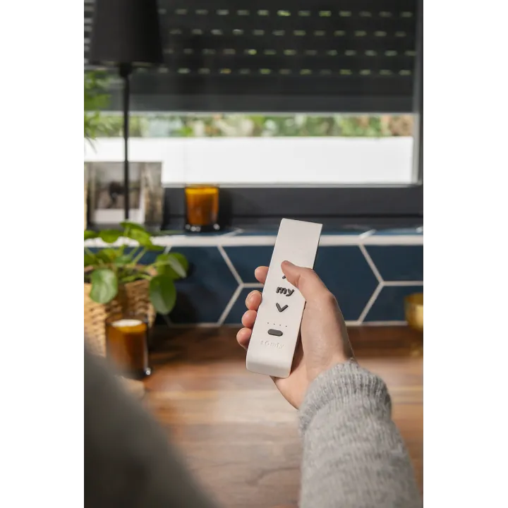 Emetteur Situo 5 Bi-Radio Io Et Rt