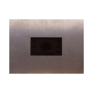 Boîtier mural en inox compatible avec la platine PIC3. Installation solide et