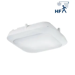 Rhea Gm Blanc 20W 4000K-Irc80-Ip66-Ik10 2000Lm Det Hf
