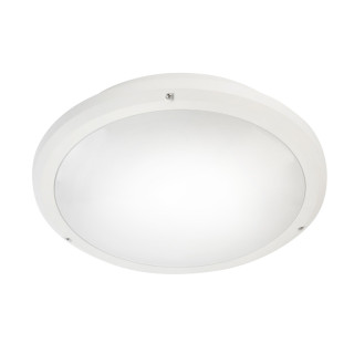 Phobos Cct Blanc 22W 3Cct(3K-4K-6K)-Irc80-Ip65 2800Lm On-Off/Eleve