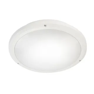 Phobos Cct Blanc 22W 3Cct(3K-4K-6K)-Irc80-Ip65 2800Lm On-Off/Eleve