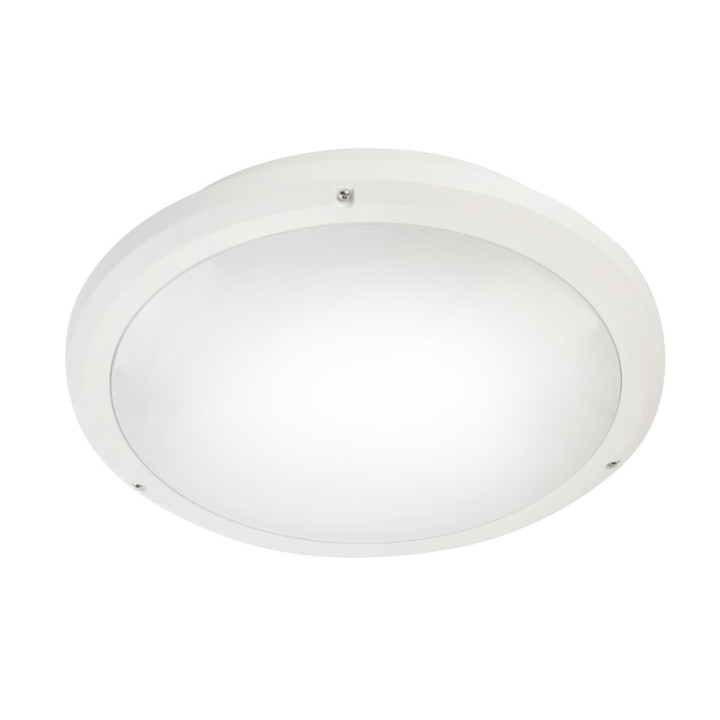 Phobos Cct Blanc 22W 3Cct(3K-4K-6K)-Irc80-Ip65 2800Lm On-Off/Eleve