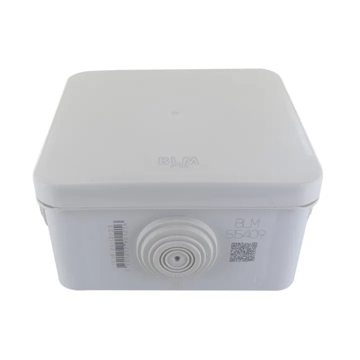 Boîte Optibox Ip55 100X100X52 960°