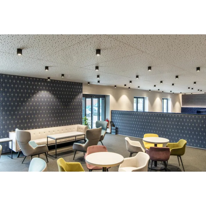 Grazia 10, Diffuseur Plat, 2 M, Plastique Pmma, Satiné