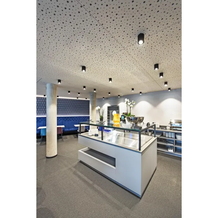 Grazia 10, Diffuseur Plat, 2 M, Plastique Pmma, Satiné