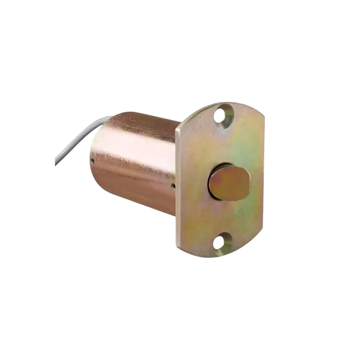 VSRP 40-70B - Verrou de sécurité - Verrouillage sous tension - pêne biseauté - 24VCC - 600daN - Horizontal