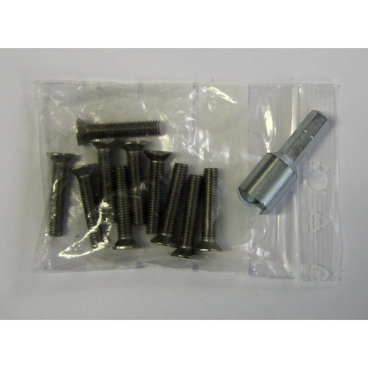 10 Vis M5/25 + 1 Embout pour systèmes URMET