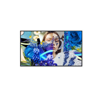 Ds-D6055Un-Dp Ecran Affichage Dynamique Mural 55", Série Slim, E-Led