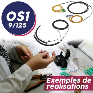 Trunck optique câble Mini Break Out (MBO) structure serrée OS1