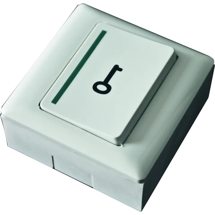 Bouton Poussoir No , Boîtier Abs Avec Symbole Clé, Montage Applique