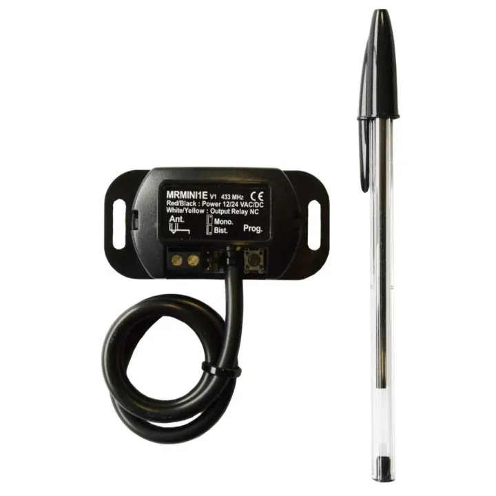 Récept Miniaturisé 2 Canaux, 2 Communs, 433,920 Mhz, 1000 Code