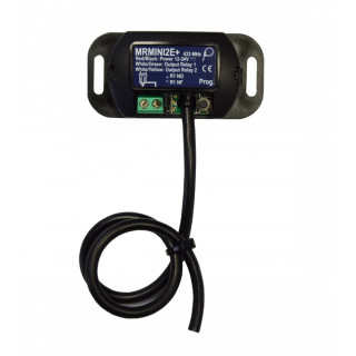 Récept Miniaturisé 2 Canaux, 2 Communs, 433,920 Mhz, 1000 Code