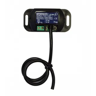 Récept Miniaturisé 2 Canaux, 2 Communs, 433,920 Mhz, 1000 Code