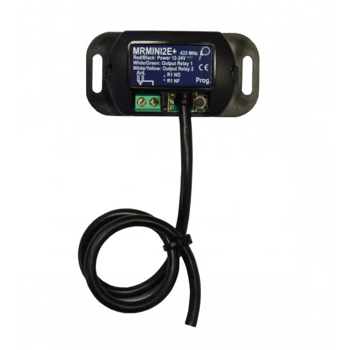 Récept Miniaturisé 2 Canaux, 2 Communs, 433,920 Mhz, 1000 Code
