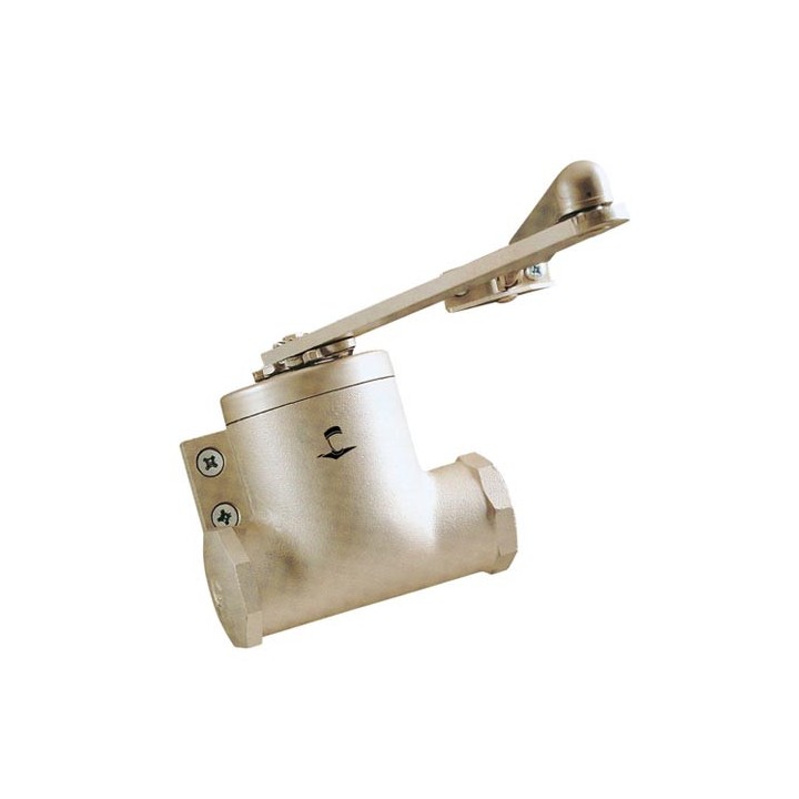 Classique 6 Standard Champagne