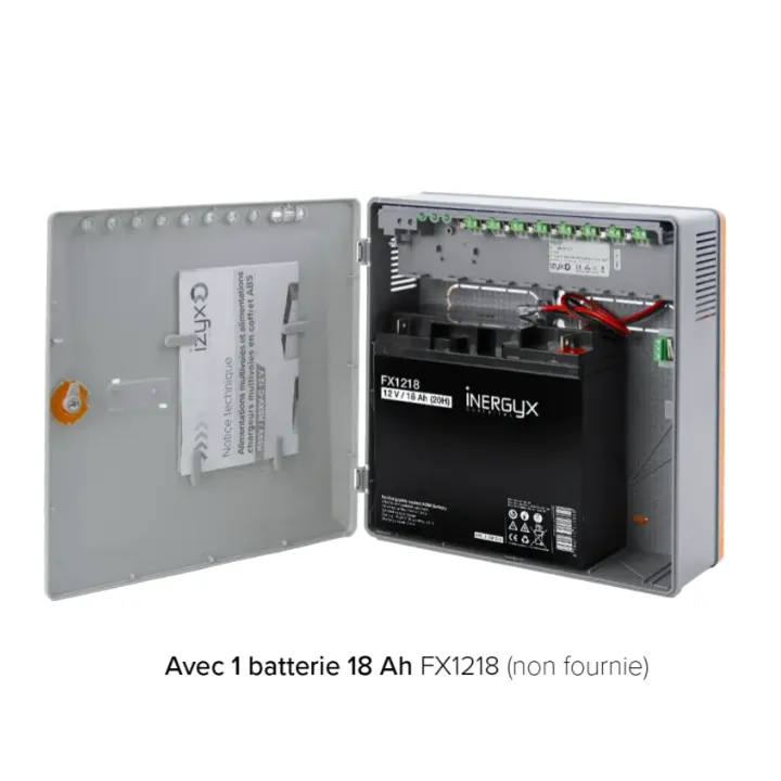 Alimentation Chargeur Rsxv-C 8 Voies 230V Ac / 12V Dc (13,8V) / 5A - 271 X 265 X 103 Mm