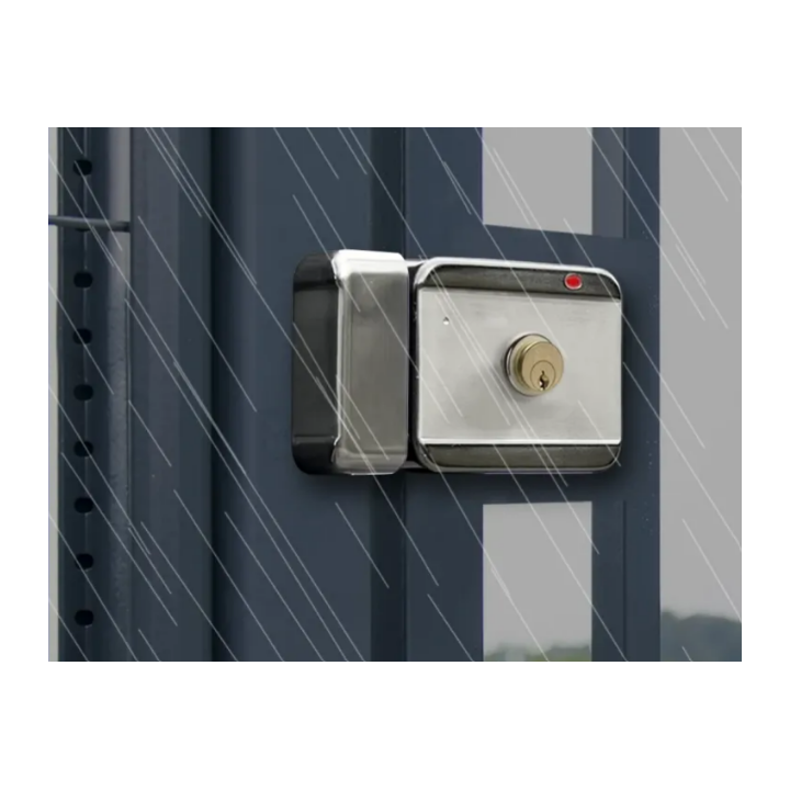 Serrure Électrique Applique 6000 N À Rupture 12-24V Dc Cylindre + Bp Dp